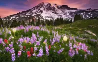 Jigsaw Puzzle Flowers under the mountain