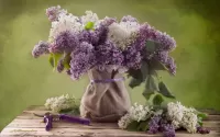 Bulmaca Lilac flowers