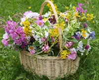 パズル Flowers in a basket