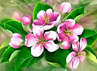 Puzzle Apple tree flowers