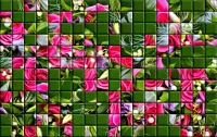 パズル Colored tiles