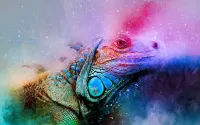 Rompecabezas Colorful Reptile