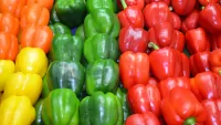 Quebra-cabeça colored peppers