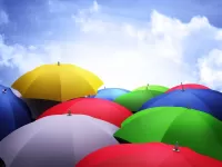 Zagadka Colored umbrellas