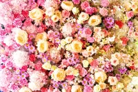 Bulmaca Flower beds