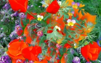 Rompecabezas Floral abstraction