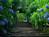 パズル Flower stairs