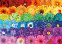 Jigsaw Puzzle Floral rainbow