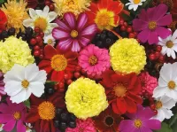 パズル Flower collage