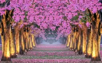 Quebra-cabeça flower corridor