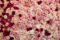 パズル Flower carpet