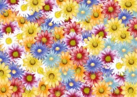 Jigsaw Puzzle Flower carpet