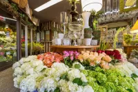 Quebra-cabeça Flower shop