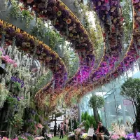Quebra-cabeça flower garden in Singapore