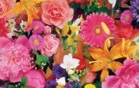 Jigsaw Puzzle Flower assorted