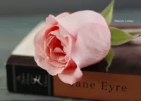 Слагалица Flower and book