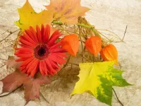 Jigsaw Puzzle Flower and leaves