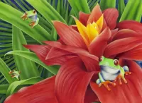 Jigsaw Puzzle Flower and frogs