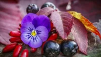 Jigsaw Puzzle Flower and berries