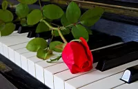 Jigsaw Puzzle Flower on piano