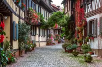 Rompecabezas Blooming Germany