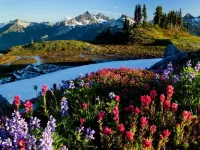 Jigsaw Puzzle Winter-summer in mountains