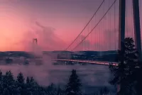 Пазл Туман над мостом