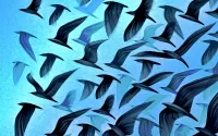 パズル Dark blue birds