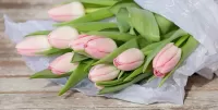 Bulmaca Tulips