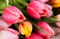 パズル Tulips