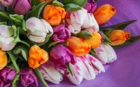 パズル tulips