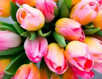Пазл Тюльпаны 