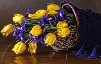 Zagadka Tulips and irises