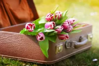 Quebra-cabeça Tulips in a suitcase