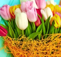 Jigsaw Puzzle Tulips in a net