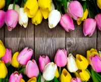 Quebra-cabeça Tulip collage