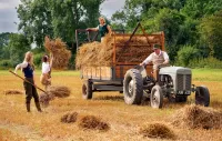 Jigsaw Puzzle Hay cleaning