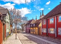 Jigsaw Puzzle Street of the Master Mikael