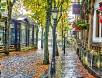 Rompecabezas Street after the rain