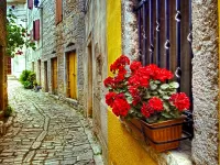 Jigsaw Puzzle Street in Italy