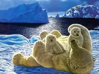 Quebra-cabeça Polar bears
