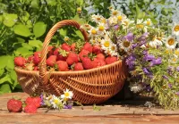 Quebra-cabeça strawberry harvest
