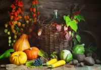 Jigsaw Puzzle Harvest of vegetables