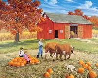 Puzzle pumpkin harvest