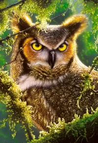 Jigsaw Puzzle Long-eared owl