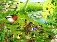 Jigsaw Puzzle Duck family