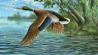 Slagalica Duck above the lake
