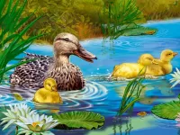 Quebra-cabeça Ducks