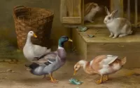Quebra-cabeça Ducks and rabbits