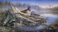Jigsaw Puzzle Duck on driftwood